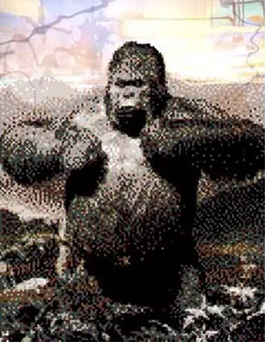 The Ape Faxt  by Joe Black