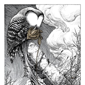 To Harrow A Naif (First Edition) by Aaron Horkey