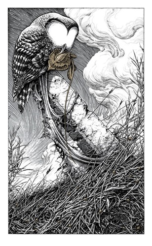 To Harrow A Naif (First Edition) by Aaron Horkey