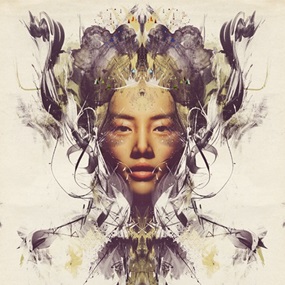 Polar Jets by Russ Mills