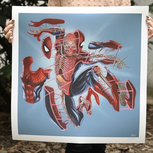 Dissection Of Spiderman (First Edition) by Nychos