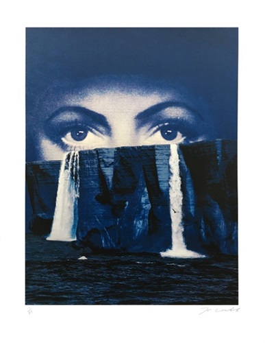 Arctic Tears  by Joe Webb