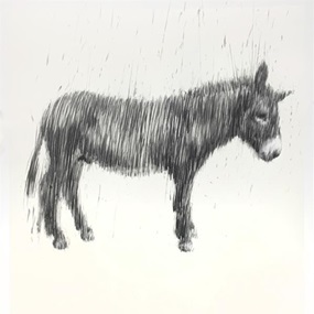 Graphite Unidonkey by Charming Baker