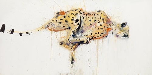 Cheetah  by Dave White