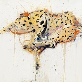 Cheetah by Dave White