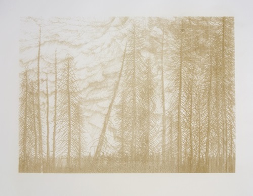 Wait Here We Will Come For You  by Stanley Donwood