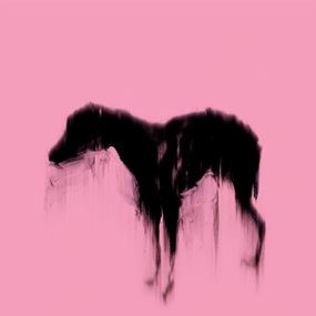 Black Dog (Pink) by Rachel Howard