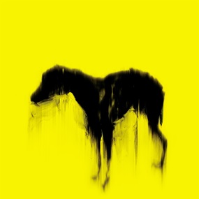 Black Dog (Yellow) by Rachel Howard