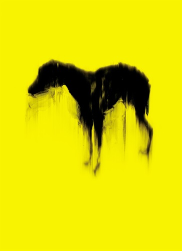 Black Dog (Yellow) by Rachel Howard